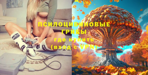 крисы Осташков