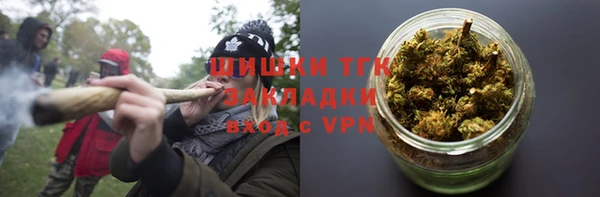 крисы Осташков