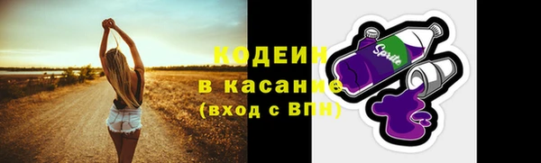крисы Осташков
