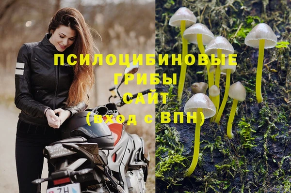 прущий лед Болотное