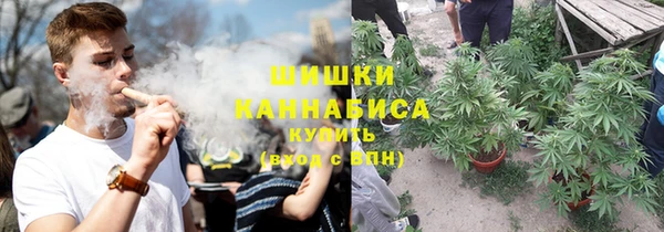 крисы Осташков