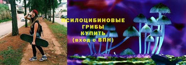 молекула духа Болхов