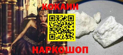 кокс Гатчина