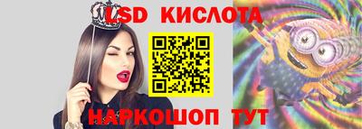 кокс Гатчина