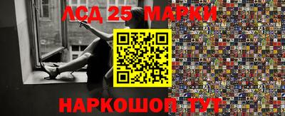 стафф Гай