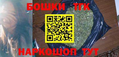стафф Гай