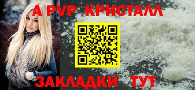 стафф Гай