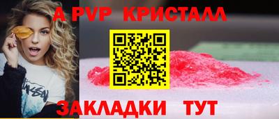 кокс Гатчина