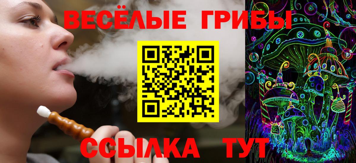 Галлюциногенные грибы Cubensis Алексин