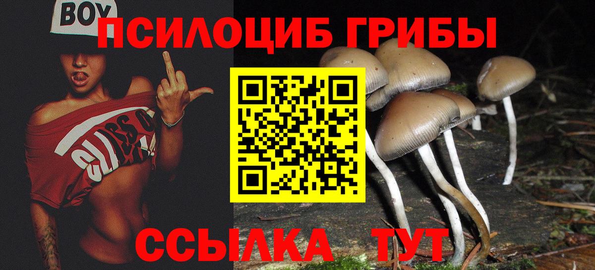 Галлюциногенные грибы прущие грибы Алексин