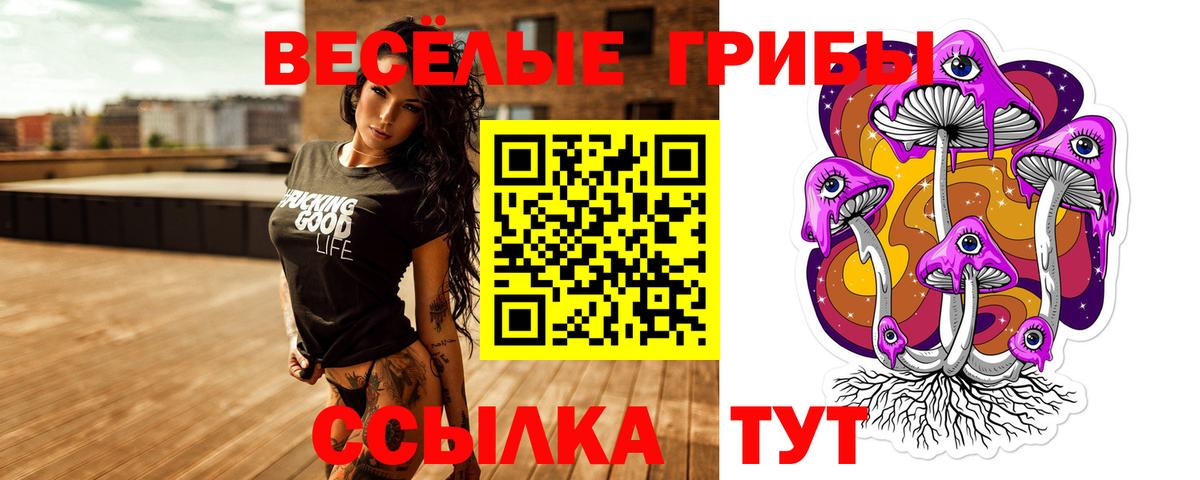 Псилоцибиновые грибы Cubensis  Алексин  купить закладку  Псилоцибиновые грибы GOLDEN TEACHER 