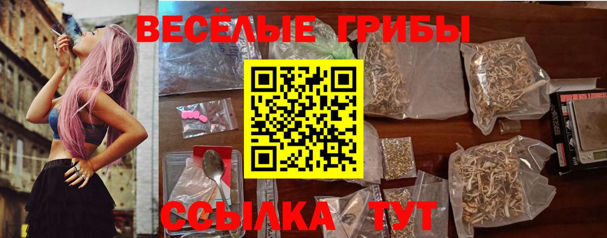 Алексин  купить наркоту  Вход с VPN  Галлюциногенные грибы ЛСД 