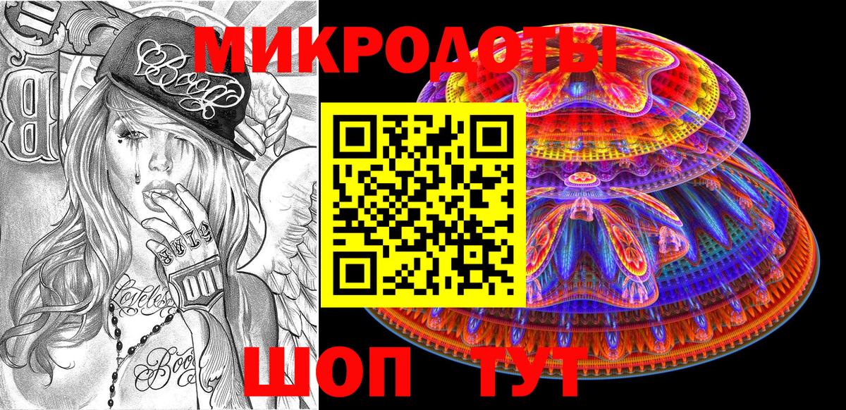 Галлюциногенные грибы Psilocybine cubensis Алексин
